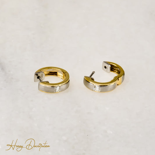 High quality bicolor earrings made of platinum and 750 gold